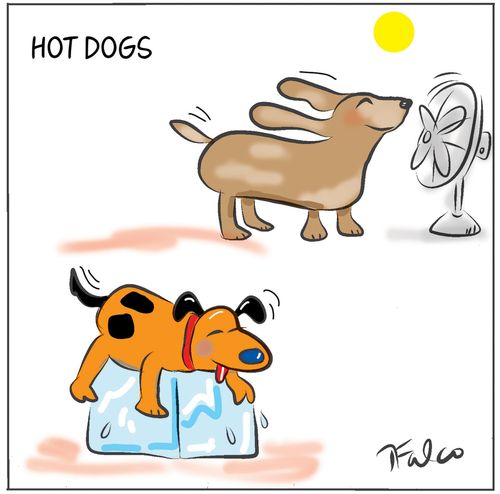 Hot dogs