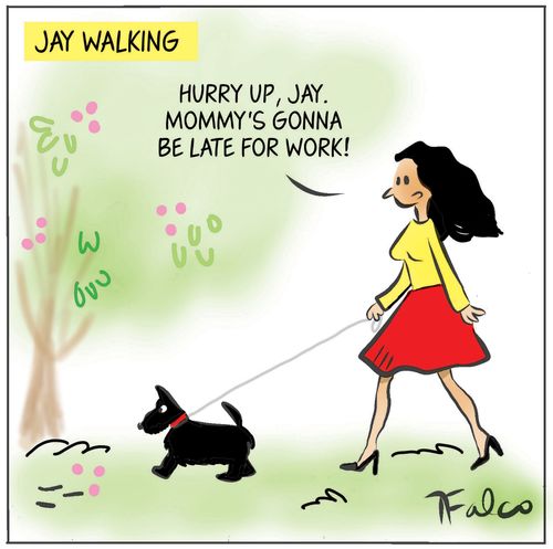 Jay Walking