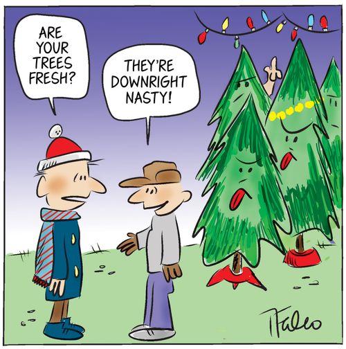 "Are your trees fresh?"