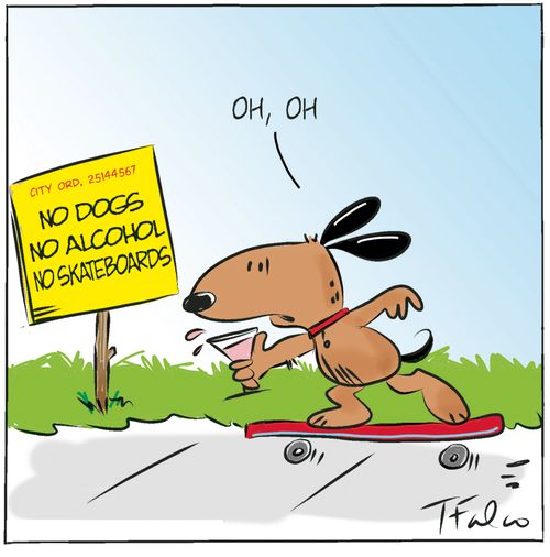 No dogs , no alcohol, no skateboards 