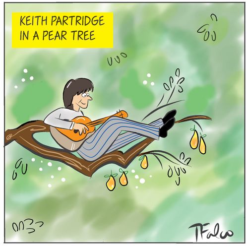 Keith Partridge in a pear tree
