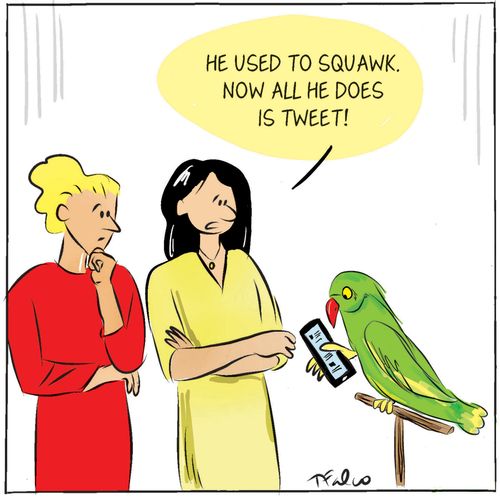 "He used to squawk. Now all he does is tweet!"