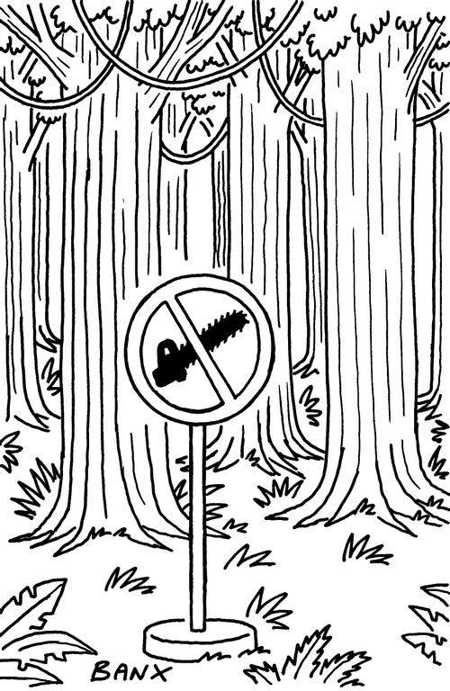 Deforestation