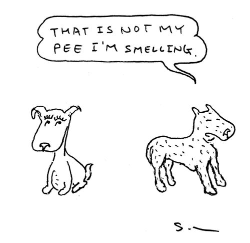 "That is not my pee I'm smelling."