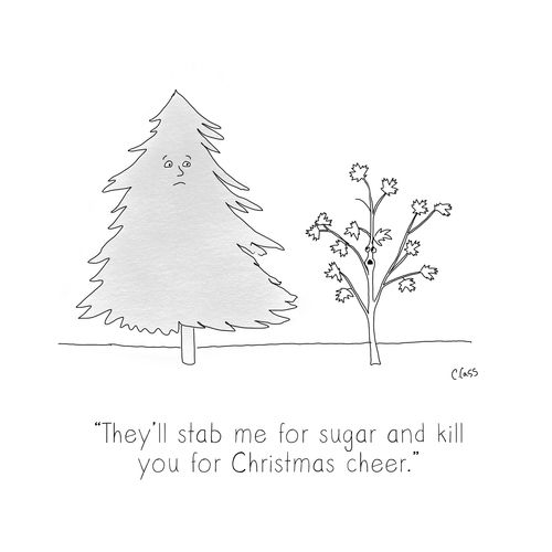 "They'll stab me for sugar and kill you for Christmas cheer."