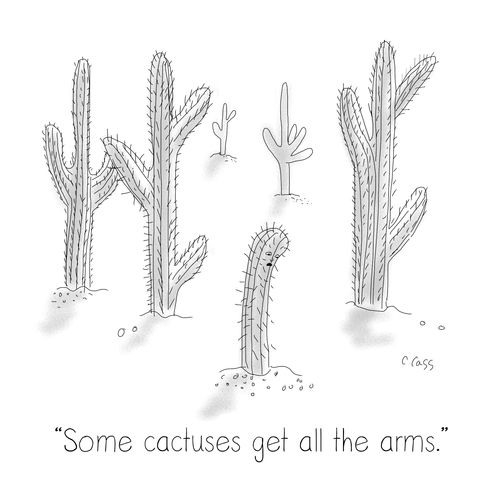 "Some cactuses get all the arms."