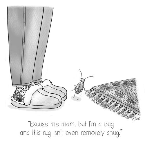 "Excuse me man, but I'm a bug and this rug isn't even remotely snug."