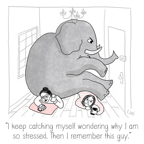 "I keep catching myself wondering why I am so stressed. Then I remember this guy."