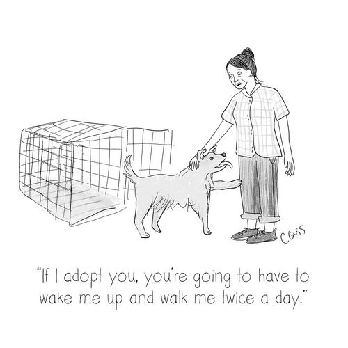 "If I adopt you, you're going to have to wake me up and walk me twice a day."