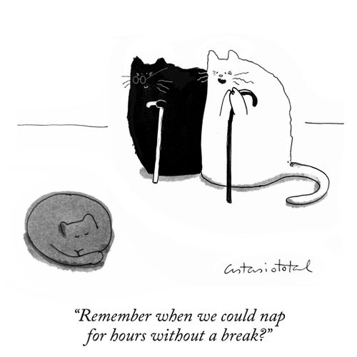 "Remember when we could nap for hours without a break?"