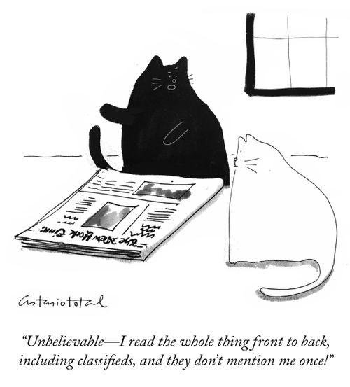 "Unbelievable - I read the whole thing front to back, including classifieds, and they don't mention me once!"
