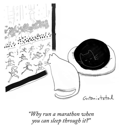 "Why run a marathon when you can sleep through it?"