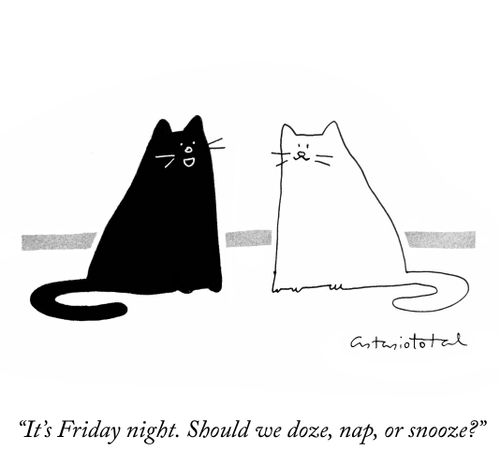 "It's Friday night. Should we doze, nap, or snooze?"