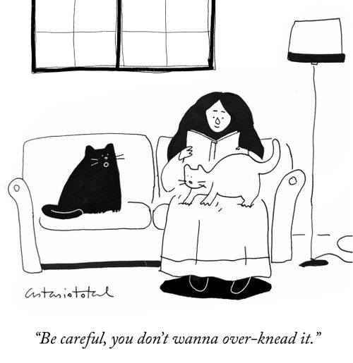 "Be careful, you don't wanna over-knead it."
