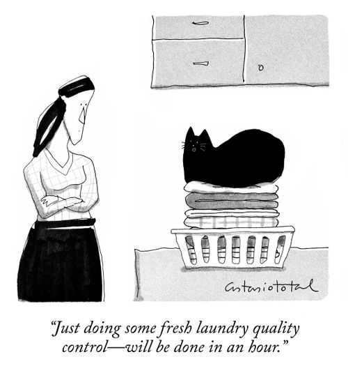 "Just doing some fresh laundry quality control - will be done in an hour."