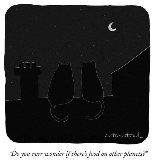 "Do you ever wonder if there's food on other planets?"