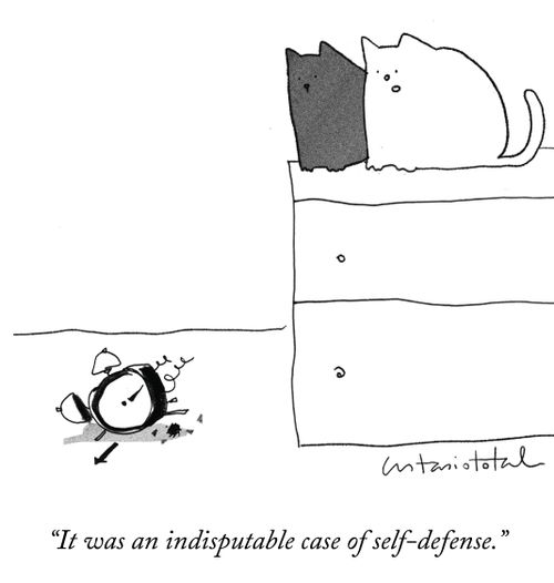 "It was an indisputable case of self-defense."