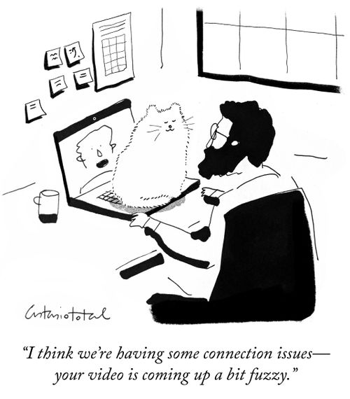 "I think we're having some connection issues - your video is coming up a bit fuzzy."