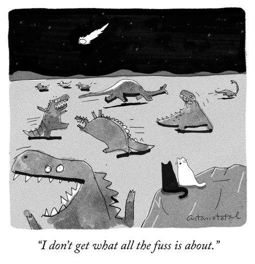 "I don't get what all the fuss is about."