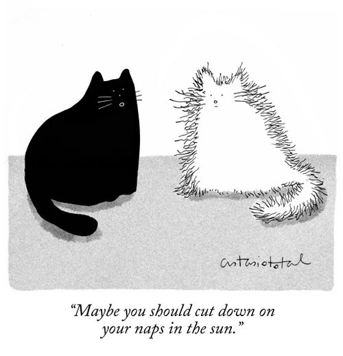 "Maybe you should cut down on your naps in the sun."