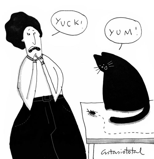 Cat Bug