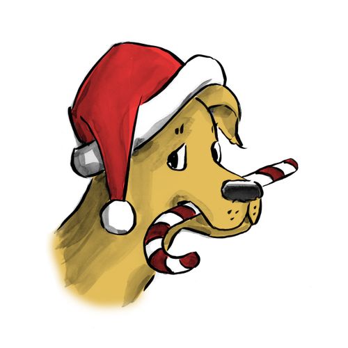 Santa Dog