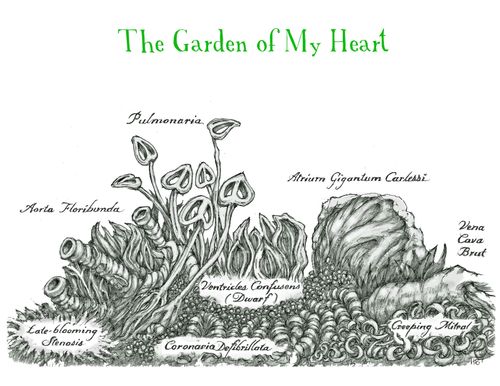 The Garden of My Heart