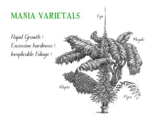 Mania Varietals