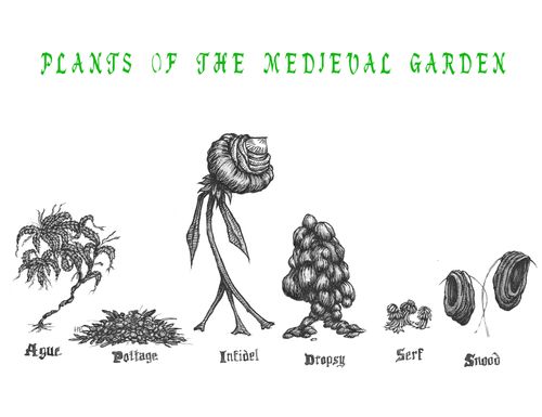 Plants of the Medieval Garden
