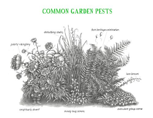 Common Garden Pests