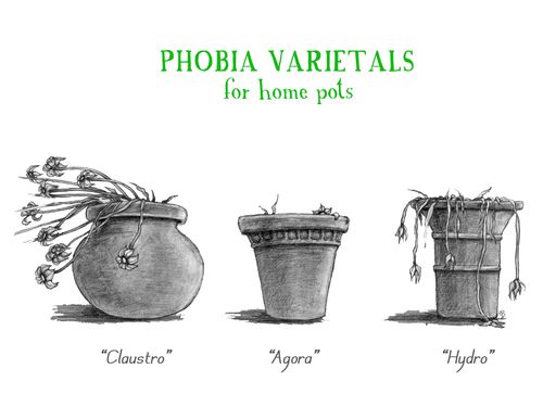 Phobia varietals for home pots