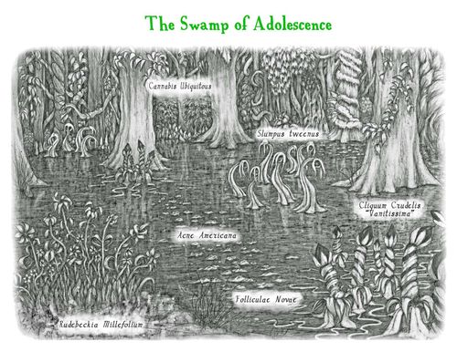 The swamp of adolescence 