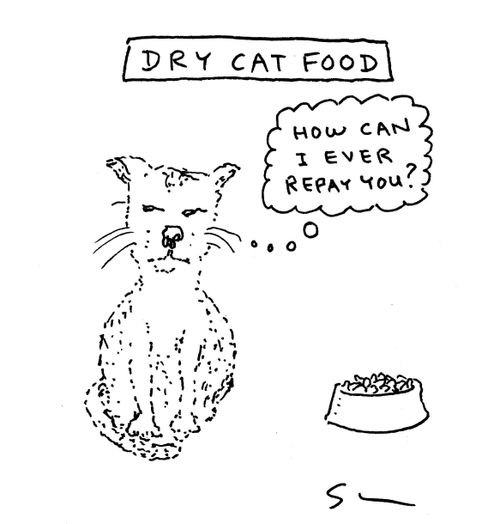 DRY CAT Food