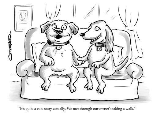 "It's quite a cute story actually. We met through our owner's taking a walk."