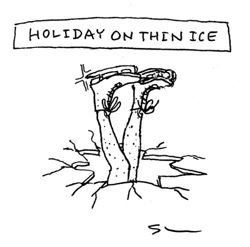 Holiday on Thin Ice