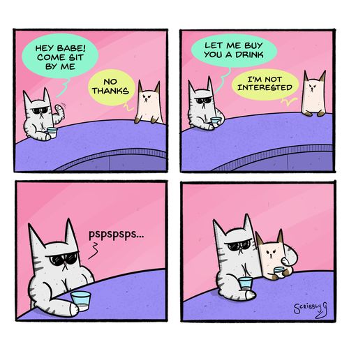 Buff Cat