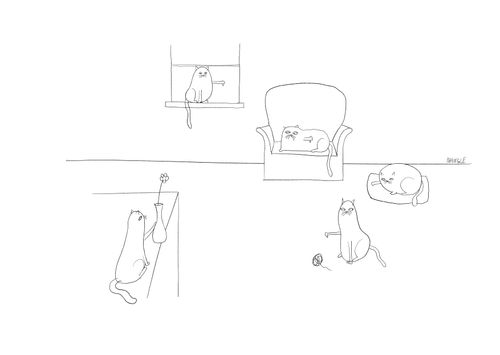 Cat House