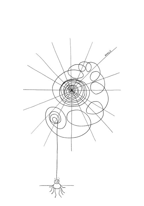 Dizzy Spider