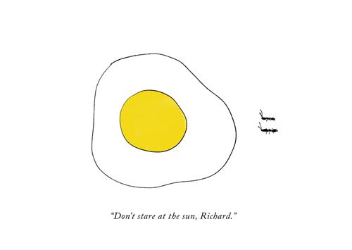 "Don't stare at the sun, Richard."