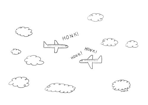Planes honking at each other