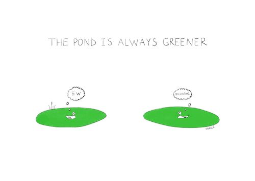 The Pond is Always Greener