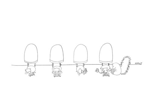 Squirrel Salon