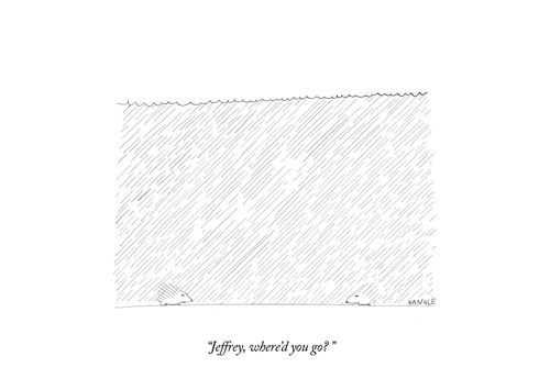 "Jeffrey, where'd you go?"