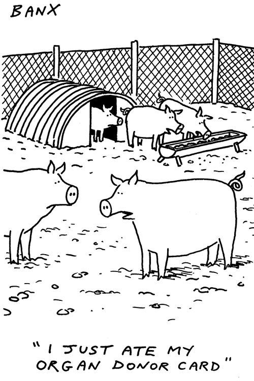 "I just ate my organ donor card."
