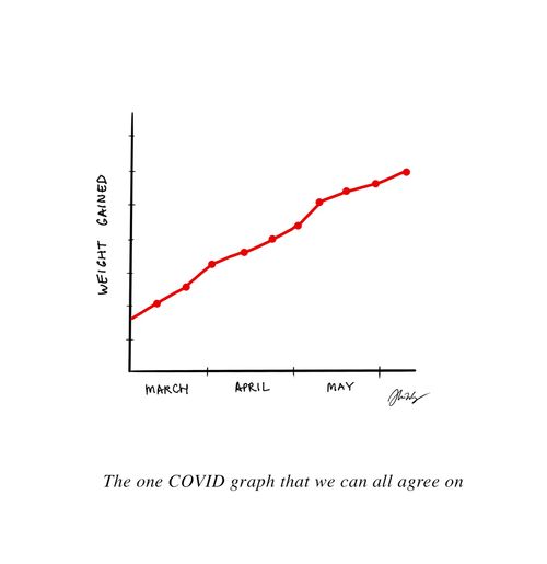 The one COVID graph that we can all agree on