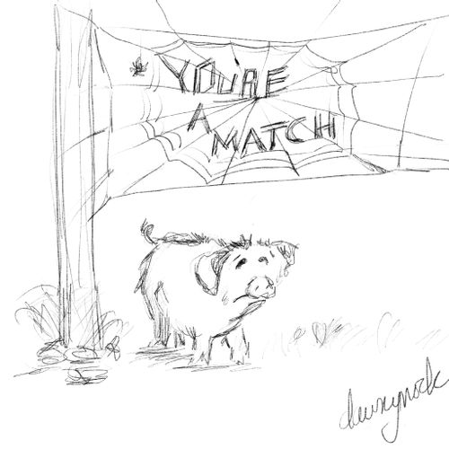 You're a Match.