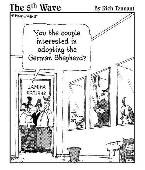 "You the couple interested in the German Shepherd?" 