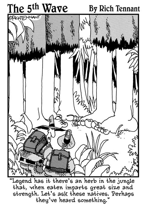 "Legend has it there's an herb in the jungle that, when eaten imparts great size and strength. Let's ask these natives. Perhaps they've heard something."
