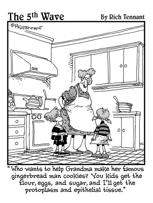 "Who wants to help Grandma make her famous gingerbread man cookies? You kids get the flour, eggs, and sugar, and I'll get the protoplasm and epithelial tissue."
