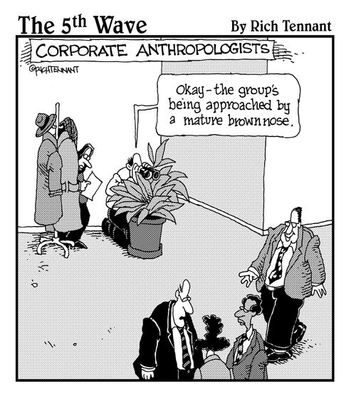 Corporate Anthropologist